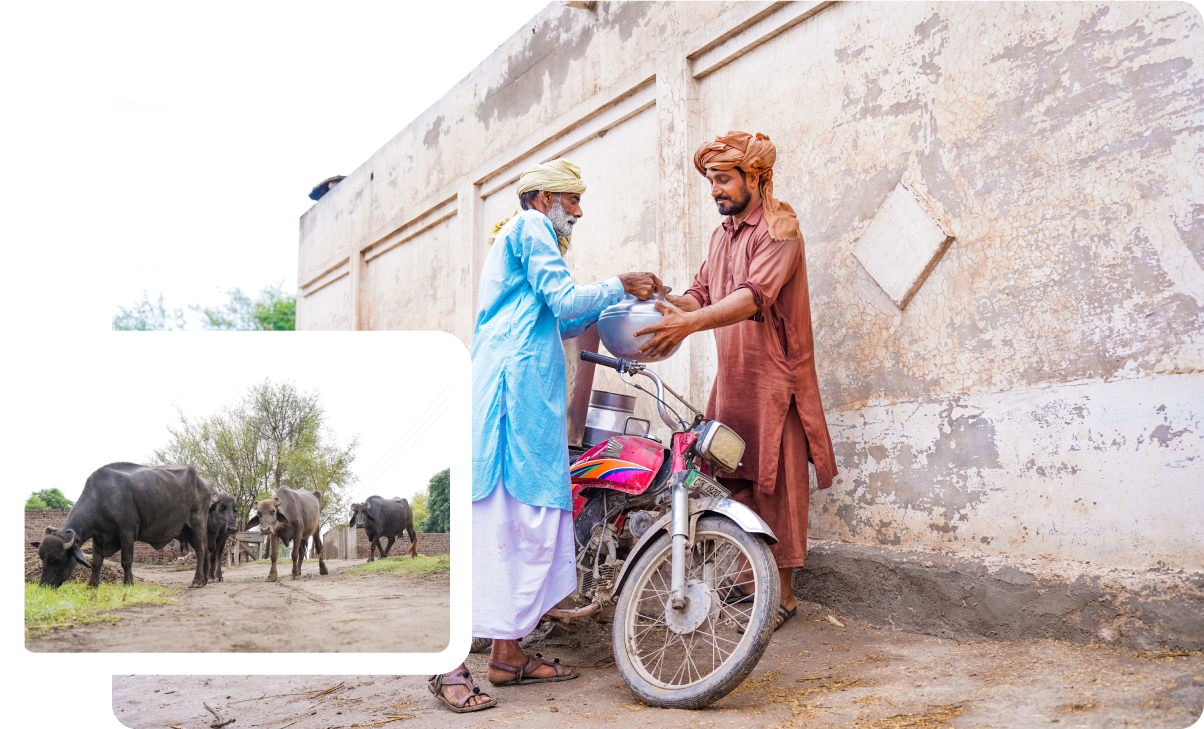 Transforming the lives of the Dairy Farmer