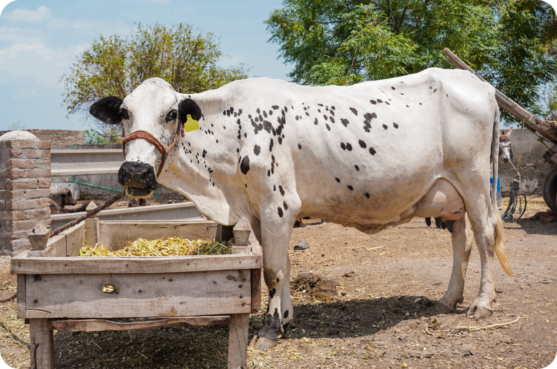 Traceability and Transparency