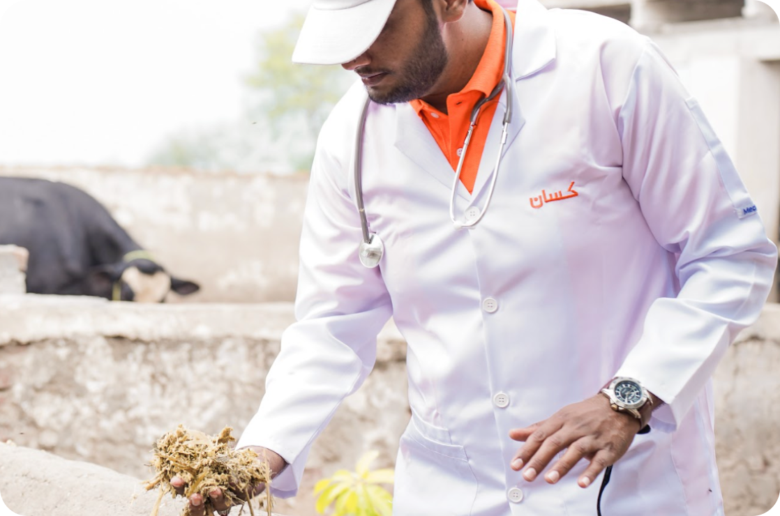 Expert Veterinary Care